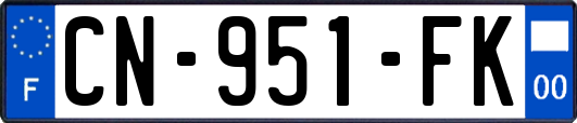 CN-951-FK
