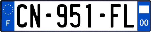 CN-951-FL