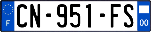 CN-951-FS