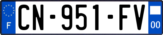 CN-951-FV