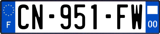 CN-951-FW