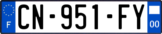 CN-951-FY