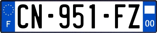 CN-951-FZ