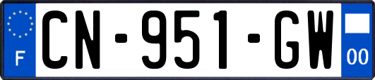 CN-951-GW