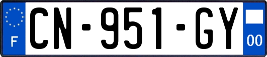 CN-951-GY