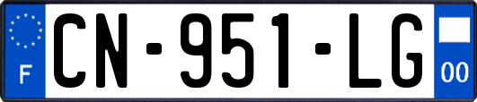 CN-951-LG