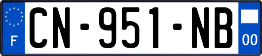 CN-951-NB