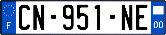 CN-951-NE