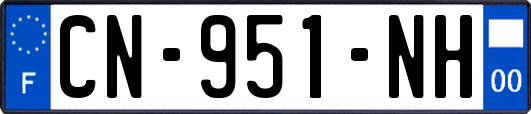 CN-951-NH