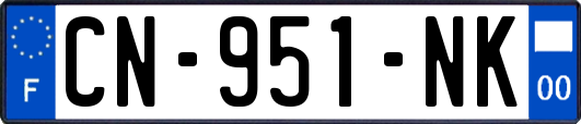 CN-951-NK