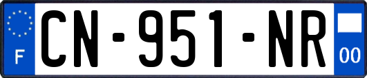 CN-951-NR