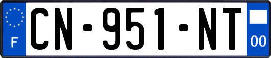 CN-951-NT