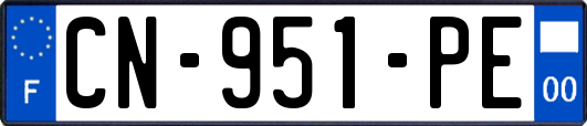 CN-951-PE