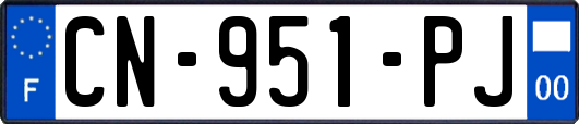 CN-951-PJ