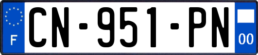 CN-951-PN