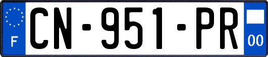 CN-951-PR