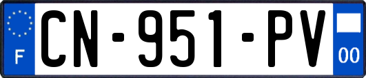 CN-951-PV