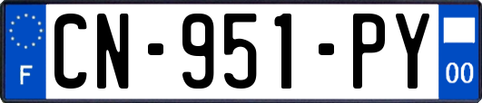 CN-951-PY