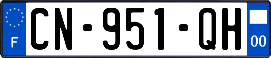 CN-951-QH
