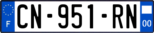 CN-951-RN