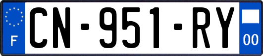 CN-951-RY
