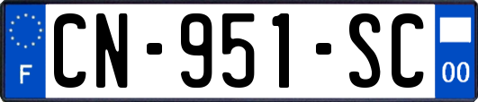 CN-951-SC