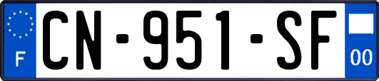 CN-951-SF
