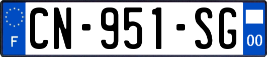 CN-951-SG
