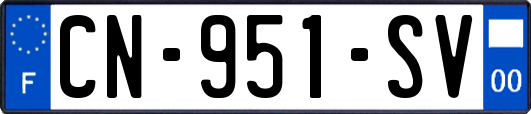 CN-951-SV