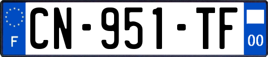 CN-951-TF