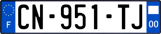 CN-951-TJ