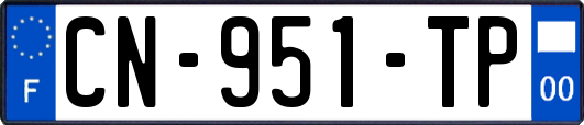 CN-951-TP
