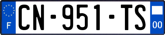 CN-951-TS