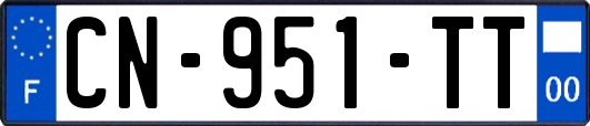 CN-951-TT
