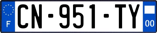 CN-951-TY