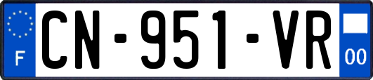 CN-951-VR