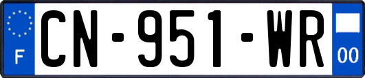 CN-951-WR
