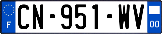 CN-951-WV