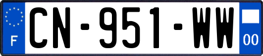 CN-951-WW