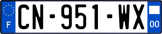 CN-951-WX