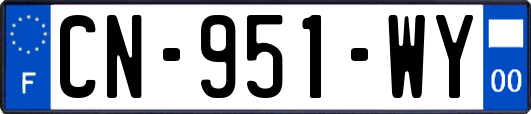 CN-951-WY