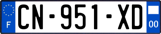 CN-951-XD