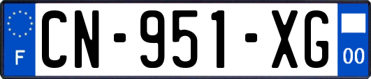 CN-951-XG