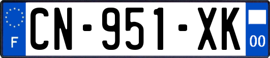 CN-951-XK