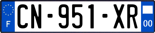 CN-951-XR