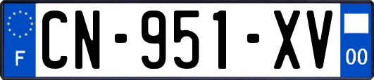 CN-951-XV