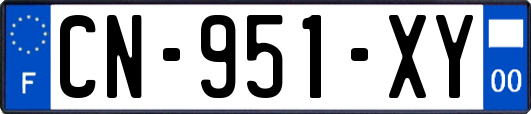 CN-951-XY