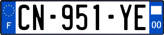 CN-951-YE