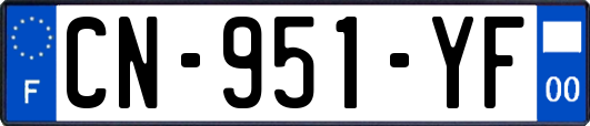 CN-951-YF