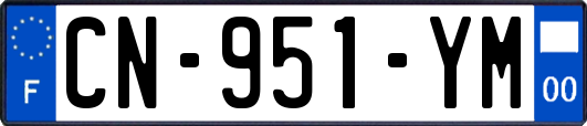 CN-951-YM